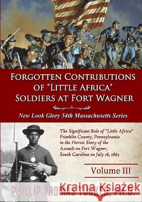 Forgotten Contributions of Little Africa Soldiers at Fort Wagner Tucker, Phillip Thomas 9780359241866