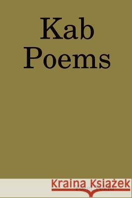 Kab Poems Yosef Teklu 9780359302918
