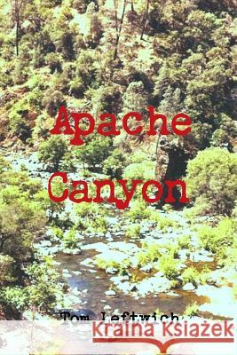 Apache Canyon Tom Leftwich 9780359308071 Lulu.com