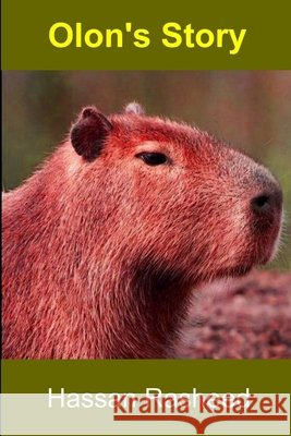 Olon's Story Hassan Rasheed 9780359365401 Lulu.com