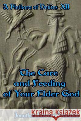 The Care and Feeding of Your Elder God Jonathan Edward Feinstein 9780359857012