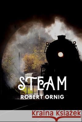 Steam Robert Ornig 9780359932399 Lulu.com