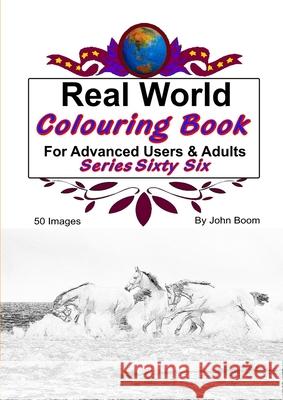 Real World Colouring Books Series 66 John Boom 9780359935826 Lulu.com