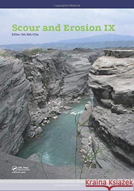 Scour and Erosion IX: Proceedings of the 9th International Conference on Scour and Erosion (Icse 2018), November 5-8, 2018, Taipei, Taiwan  9780367074678 Taylor and Francis