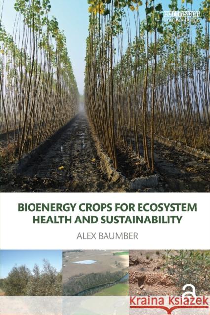 Bioenergy Crops for Ecosystem Health and Sustainability Alex Baumber 9780367173227 Routledge