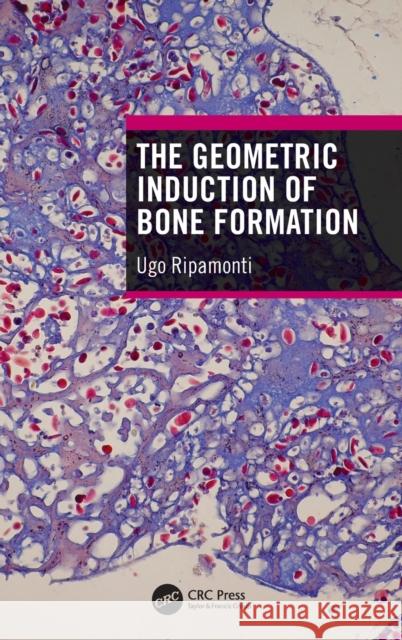 The Geometric Induction of Bone Formation Ripamonti, Ugo 9780367195786