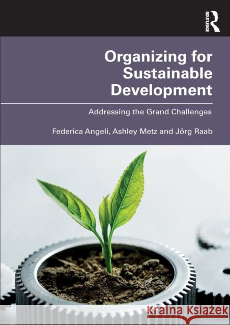 Organizing for Sustainable Development: Addressing the Grand Challenges Federica Angeli Ashley Metz J 9780367197698