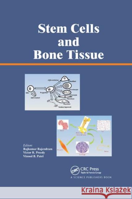 Stem Cells and Bone Tissue Rajkumar Rajendram Victor R. Preedy Vinood Patel 9780367380397 CRC Press