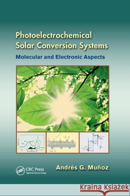 Photoelectrochemical Solar Conversion Systems: Molecular and Electronic Aspects Andres G. Munoz 9780367380687 CRC Press