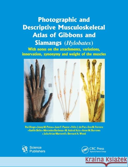 Photographic and Descriptive Musculoskeletal Atlas of Gibbons and Siamangs (Hylobates): With Notes on the Attachments, Variations, Innervation, Synony Rui Diogo Josep M. Potau Juan F. Pastor 9780367381509