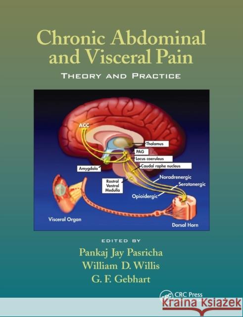 Chronic Abdominal and Visceral Pain: Theory and Practice Pankaj Jay Pasricha William D. Willis G. F. Gebhart 9780367389963 CRC Press