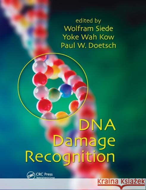 DNA Damage Recognition Wolfram Siede Paul W. Doetsch 9780367392130