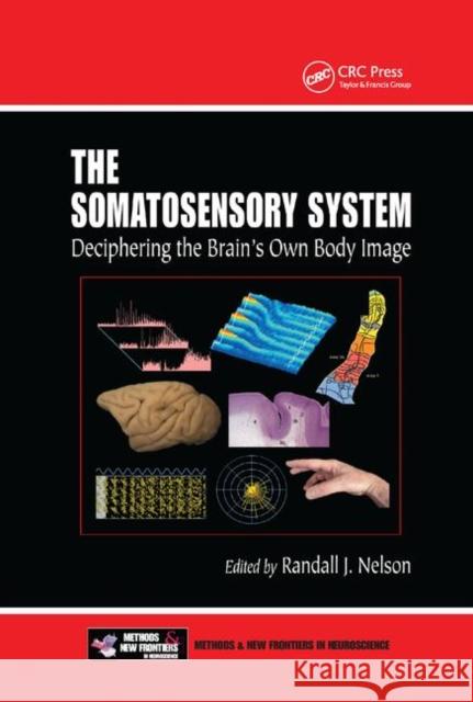 The Somatosensory System: Deciphering the Brain's Own Body Image Randall J. Nelson 9780367396732 CRC Press