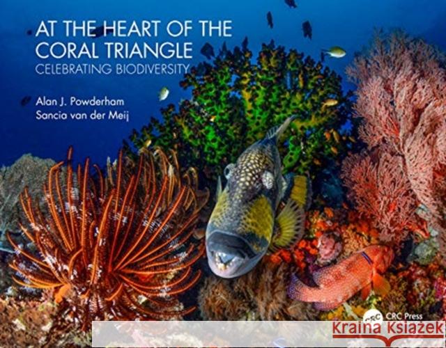 At the Heart of the Coral Triangle: Celebrating Biodiversity Alan J. Powderham Sancia Va 9780367428167 Taylor & Francis Ltd