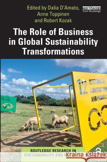 The Role of Business in Global Sustainability Transformations Dalia D'Amato Anne Toppinen Robert Kozak 9780367434830 Taylor & Francis Ltd