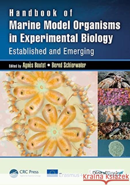 Handbook of Marine Model Organisms in Experimental Biology: Established and Emerging Schierwater, Bernd 9780367444471 CRC Press