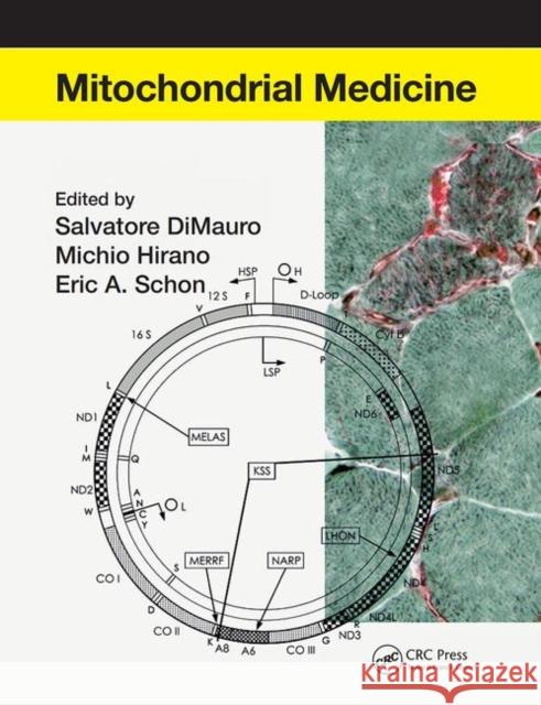 Mitochondrial Medicine Salvatore Dimauro Michio Hirano Eric A. Schon 9780367446369