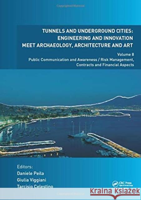 Tunnels and Underground Cities: Engineering and Innovation Meet Archaeology, Architecture and Art: Volume 8: Public Communication and Awareness/Risk M Peila, Daniele 9780367468736 CRC Press