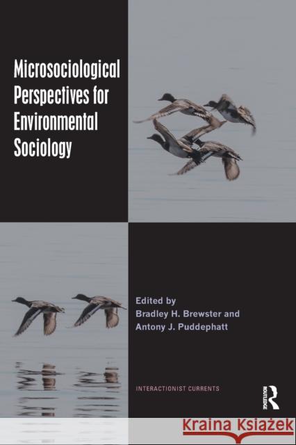 Microsociological Perspectives for Environmental Sociology Bradley H. Brewster Antony J. Puddephatt 9780367478773 Routledge