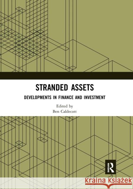 Stranded Assets: Developments in Finance and Investment Ben Caldecott 9780367529994 Routledge