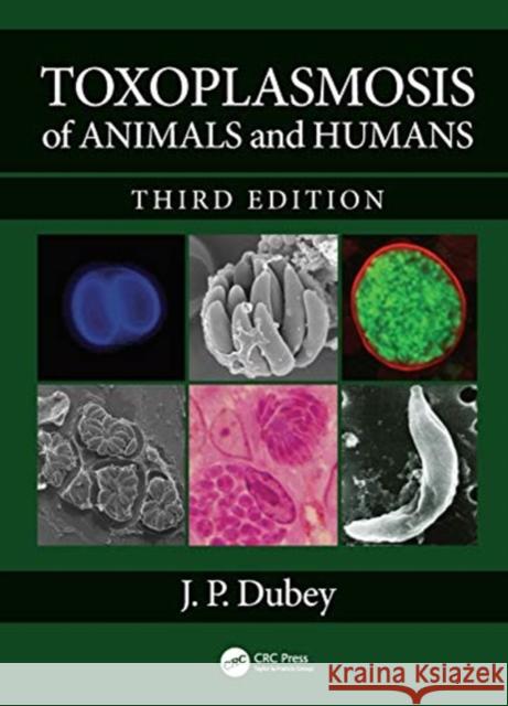 Toxoplasmosis of Animals and Humans J. P. Dubey 9780367543129 CRC Press