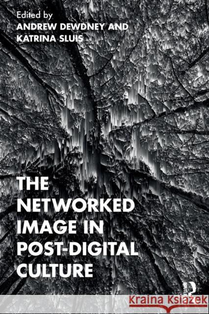 The Networked Image in Post-Digital Culture Andrew Dewdney Katrina Sluis 9780367557560 Taylor & Francis Ltd