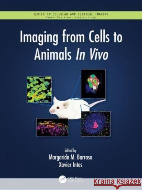 Imaging from Cells to Animals In Vivo Margarida Barroso Xavier Intes 9780367566388 CRC Press