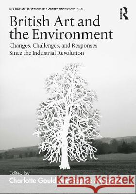 British Art and the Environment: Changes, Challenges, and Responses Since the Industrial Revolution Gould, Charlotte 9780367566487 Routledge