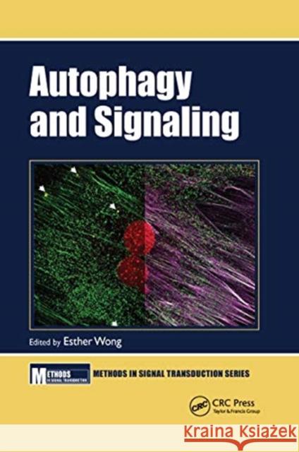 Autophagy and Signaling Esther Wong 9780367657727 CRC Press