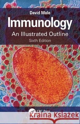 Immunology: An Illustrated Outline David Male 9780367681395 Taylor & Francis Ltd