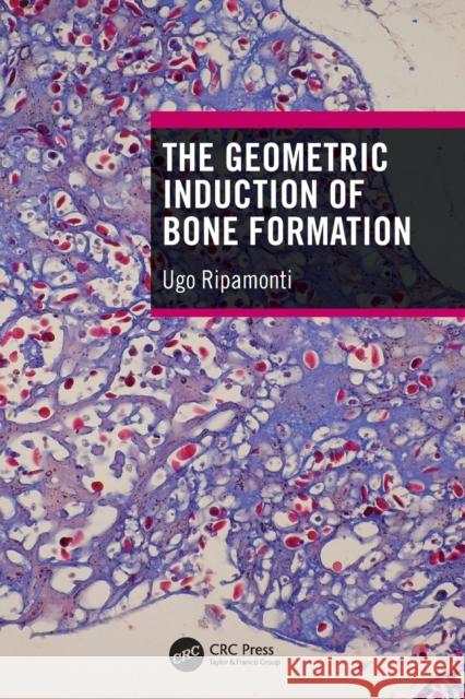 The Geometric Induction of Bone Formation Ugo Ripamonti 9780367682606 Taylor & Francis Ltd