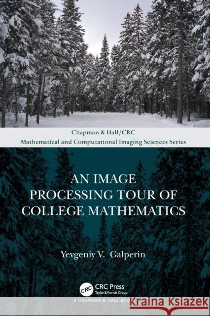 An Image Processing Tour of College Mathematics Yevgeniy V. Galperin 9780367694487