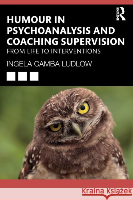 Humour in Psychoanalysis and Coaching Supervision: From Life to Interventions Ludlow, Ingela Camba 9780367723095 Routledge