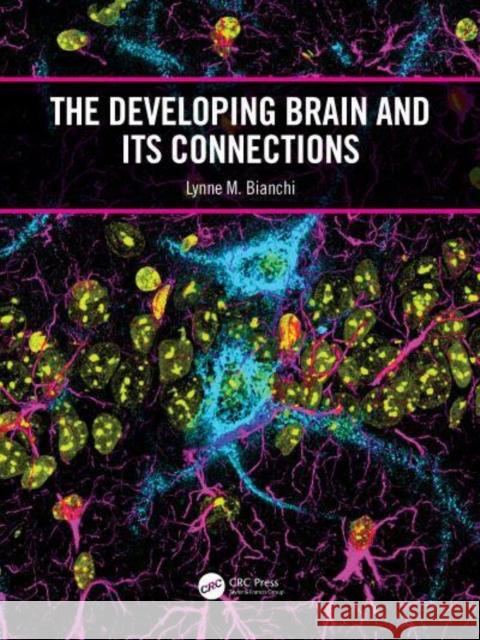 The Developing Brain and Its Connections Bianchi, Lynne M. 9780367749903