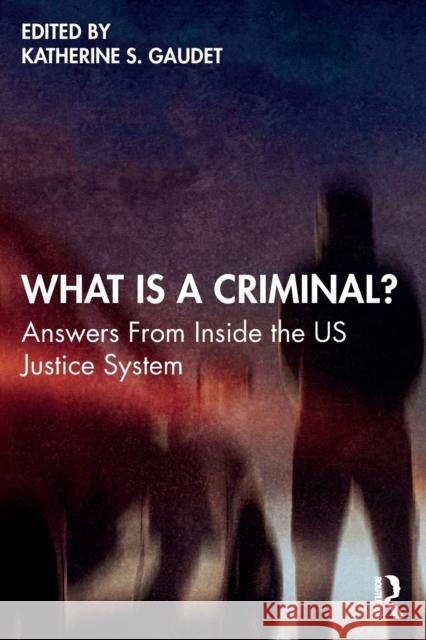 What Is a Criminal?: Answers from Inside the Us Justice System Gaudet, Katherine S. 9780367770273 Taylor & Francis Ltd