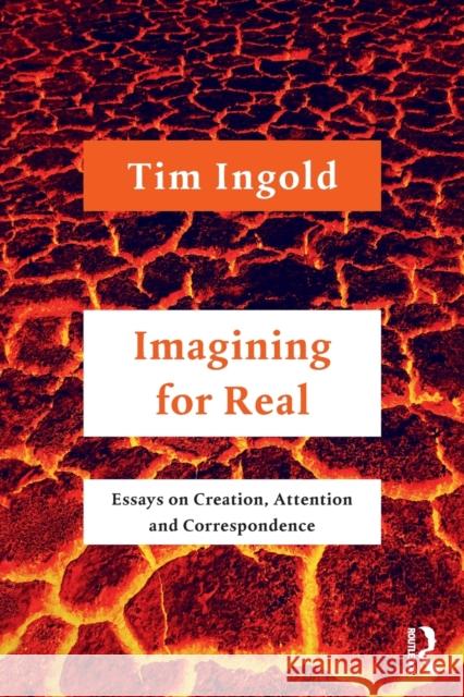 Imagining for Real: Essays on Creation, Attention and Correspondence Timothy Ingold 9780367775117 Taylor & Francis Ltd