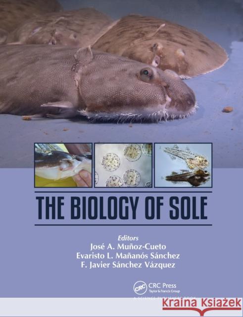 The Biology of Sole Jos Munoz-Cueto Evaristo Ma 9780367779832 CRC Press