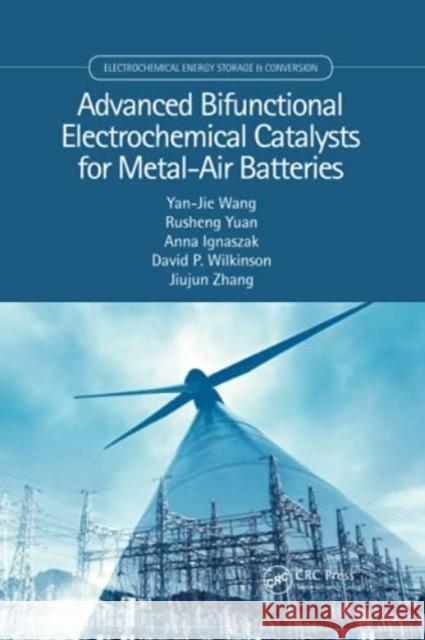 Advanced Bifunctional Electrochemical Catalysts for Metal-Air Batteries Yan-Jie Wang Rusheng Yuan Anna Ignaszak 9780367780500