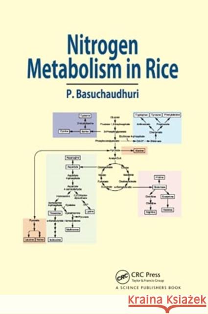 Nitrogen Metabolism in Rice Pranab Basuchaudhuri 9780367783129