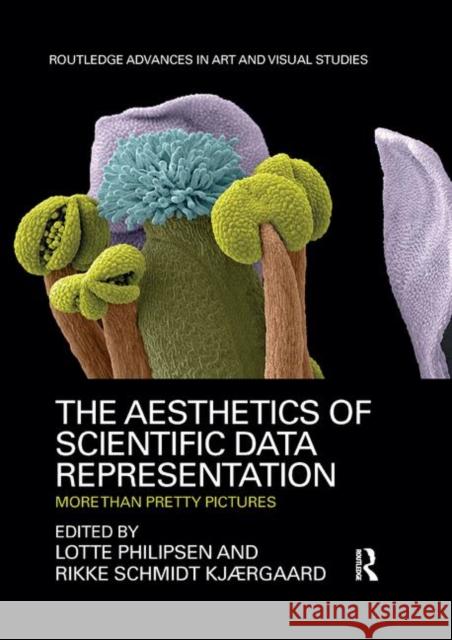 The Aesthetics of Scientific Data Representation: More Than Pretty Pictures Lotte Philipsen Rikke Schmid 9780367878696 Routledge