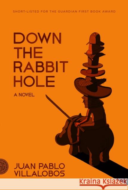 Down the Rabbit Hole Juan Pablo Villalobos Rosalind Harvey Adam Thirlwell 9780374143350