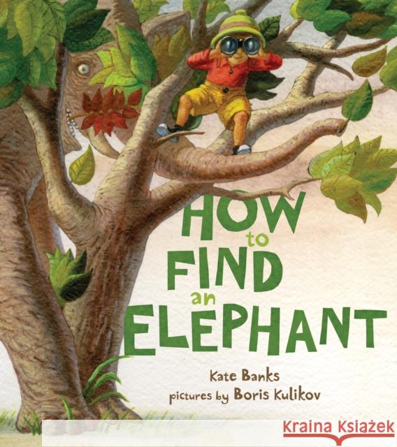 How to Find an Elephant Kate Banks Boris Kulikov 9780374335083