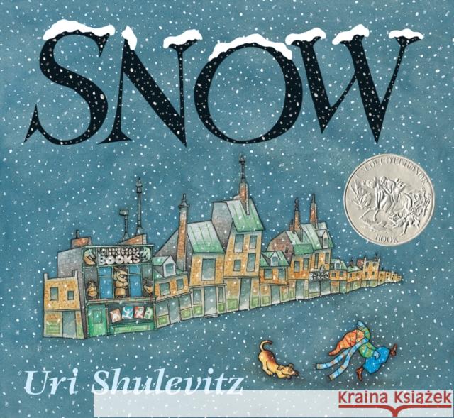 Snow Uri Shulevitz Uri Shulevitz 9780374370930 Farrar Straus Giroux