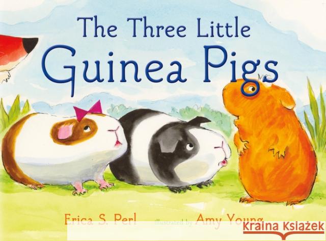 The Three Little Guinea Pigs Erica S. Perl Amy Young 9780374390044 Farrar, Straus and Giroux (Byr)