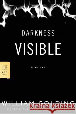 Darkness Visible William Golding 9780374530518 Farrar Straus Giroux