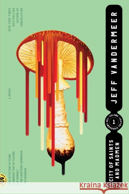 City of Saints and Madmen Jeff VanderMeer 9780374538606