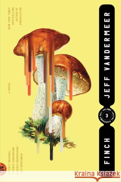 Finch Jeff VanderMeer 9780374538613 Picador