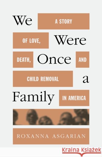 We Were Once a Family: A Story of Love, Death, and Child Removal in America Asgarian, Roxanna 9780374602291 Farrar, Straus and Giroux
