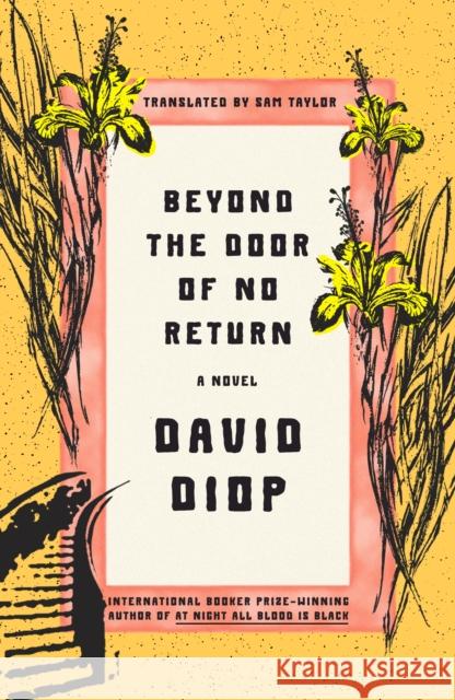 Beyond the Door of No Return David Diop 9780374606770 Farrar, Straus and Giroux