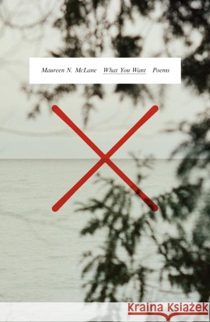 What You Want: Poems Maureen N. McLane 9780374607258 Farrar, Straus and Giroux